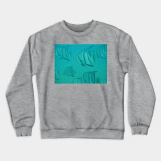 Angelfish Crewneck Sweatshirt